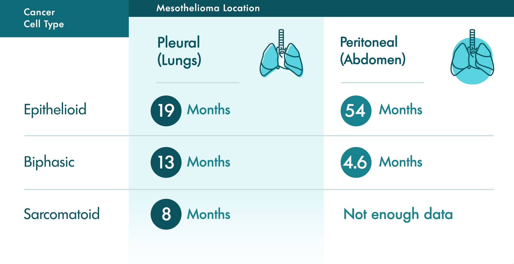 mesothelioma renal metastasis